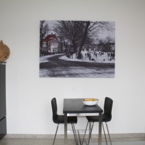 Akoestisch schilderij Muis Akoestiek